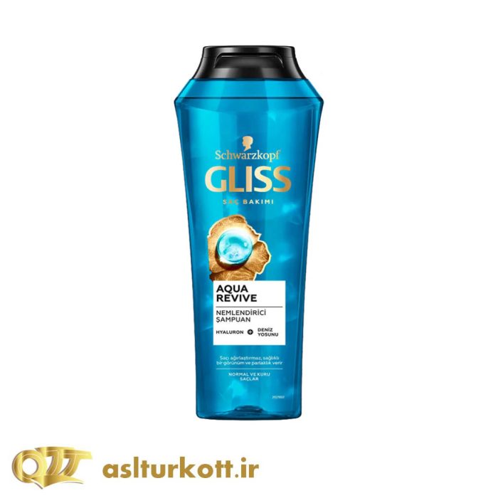 GLISS AQUA REVIVE